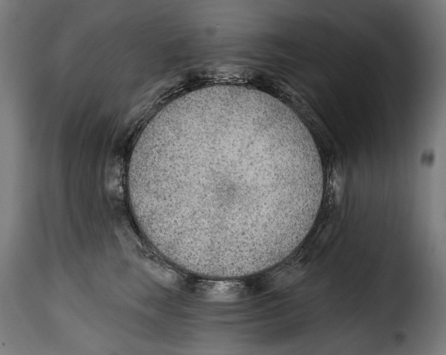 X0000114990663200911231142