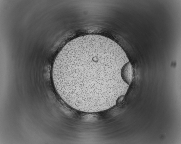 X0000114990664200911231143