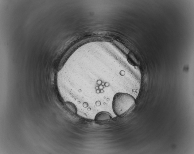 X0000114990668200911231143