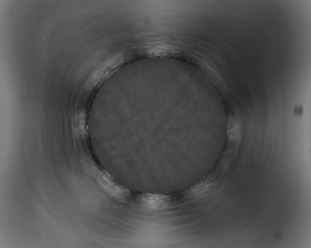 X0000114990670200911231143