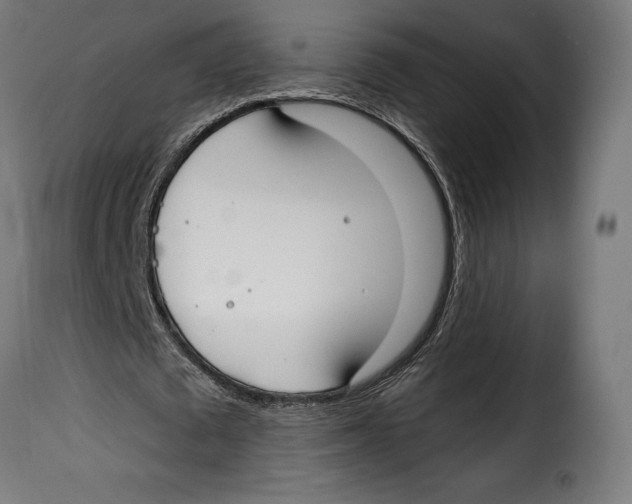 X0000114990673200911231142