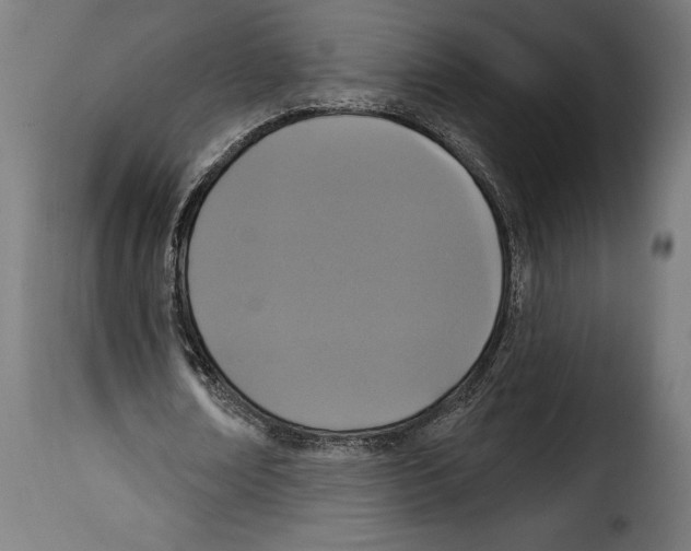 X0000114990674200911231142