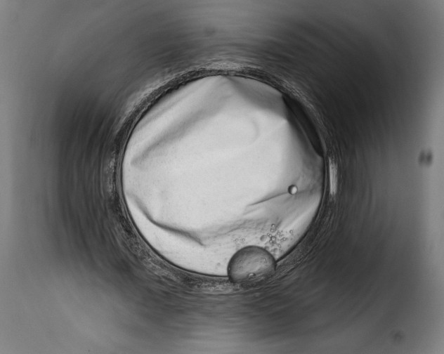 X0000114990675200911231142