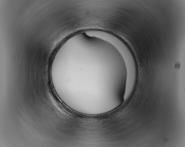 X0000114990677200911231142