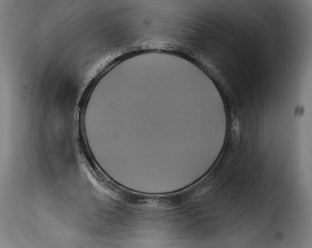 X0000114990678200911231142