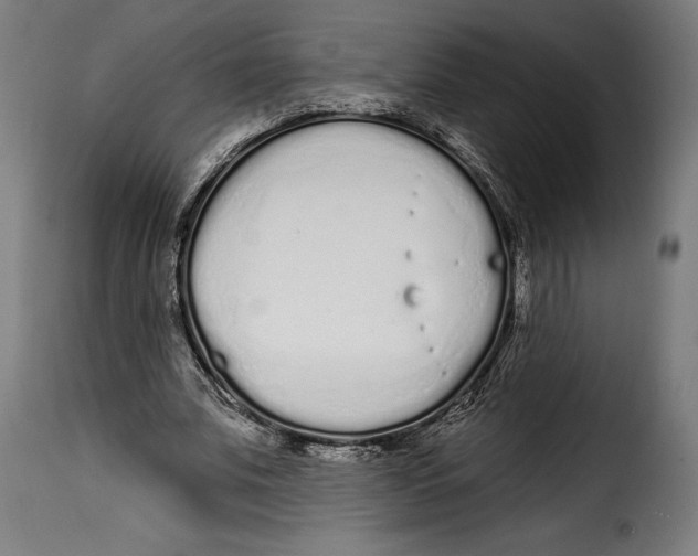 X0000114990679200911231142