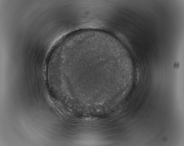 X0000114990680200911231142