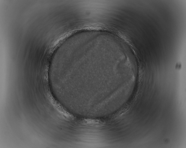 X0000114990681200911231142