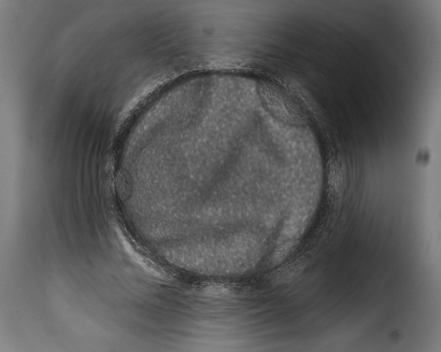 X0000114990684200911231142