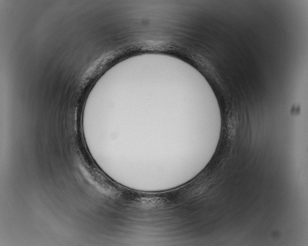 X0000114990686200911231142