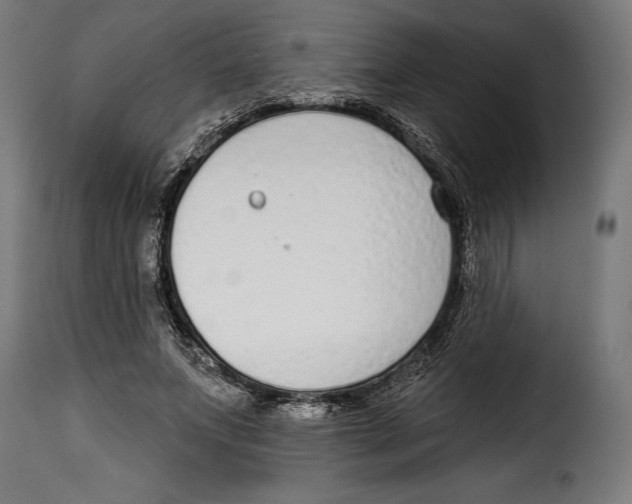 X0000114990687200911231142