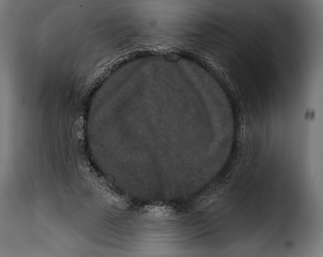 X0000114990689200911231142