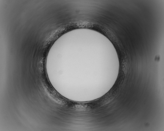 X0000114990690200911231142