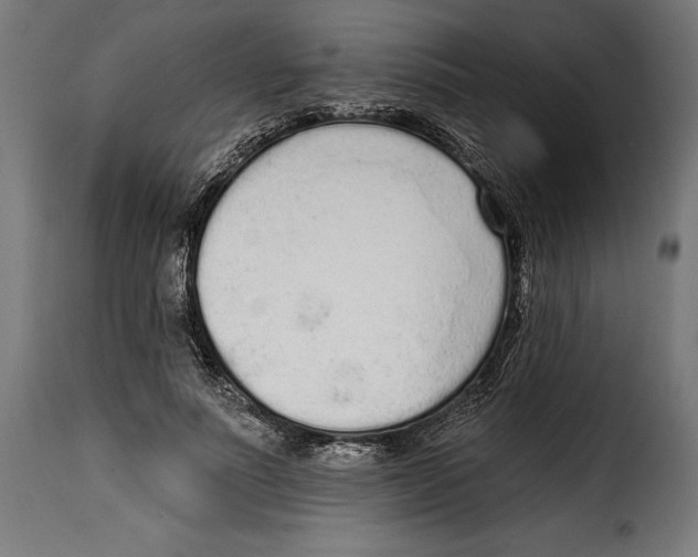 X0000114990691200911231142