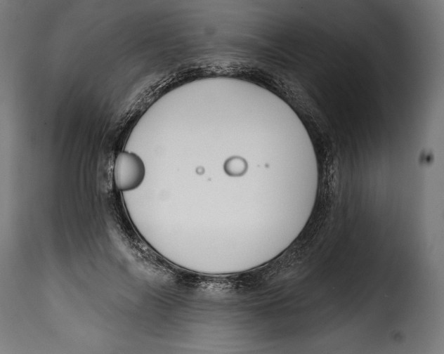 X0000114990694200911231142