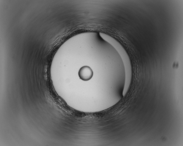 X0000114990696200911231142