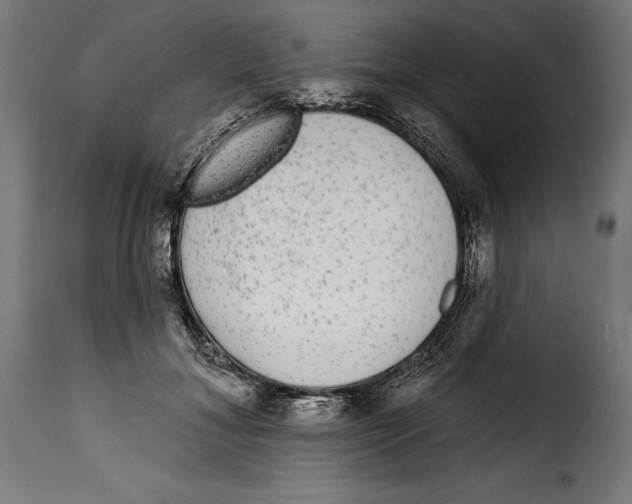 X0000114990700200911231142