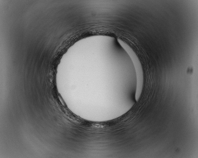 X0000114990701200911231142