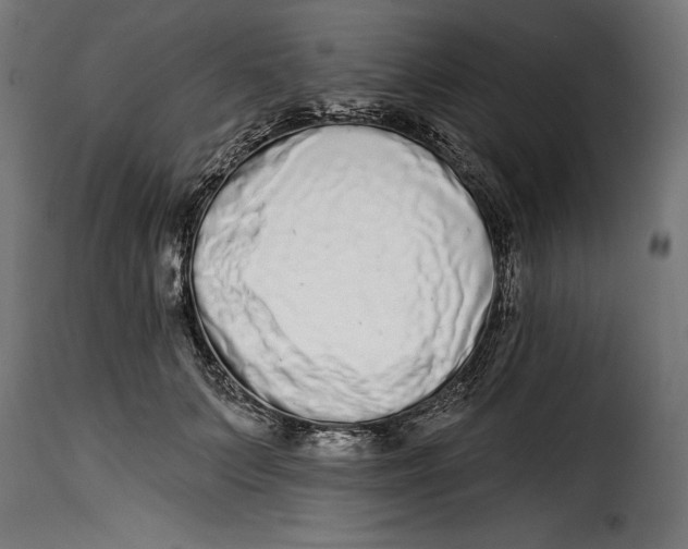 X0000114990703200911231142