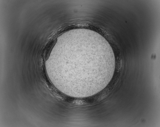 X0000114990704200911231142