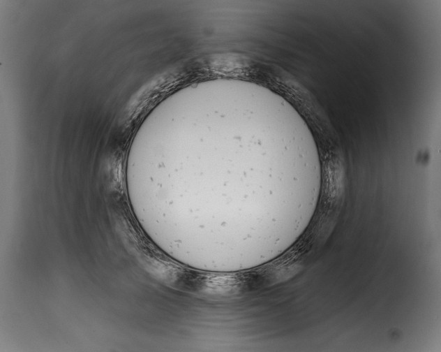 X0000114990705200911231142