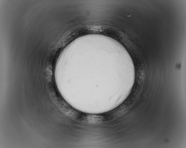 X0000114990707200911231141