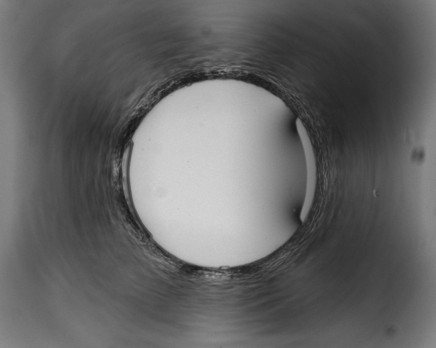 X0000114990709200911231141