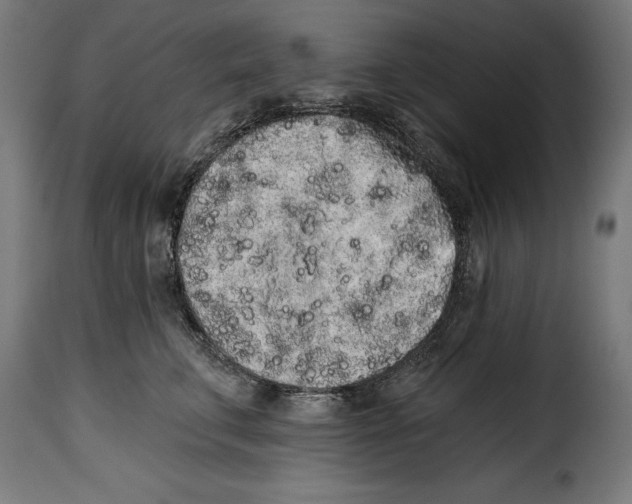 X0000114990711200911231141