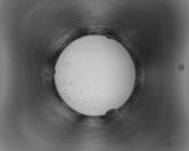 X0000114990712200911231141