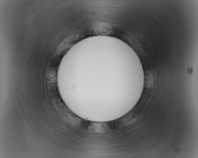 X0000114990713200911231141