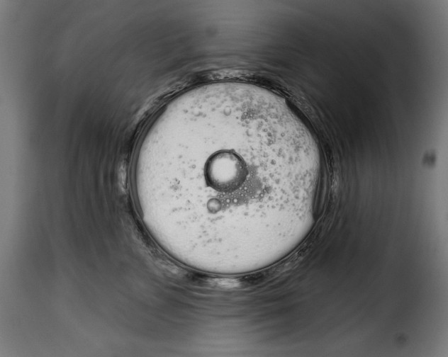 X0000114990715200911231141