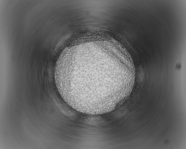 X0000114990716200911231141