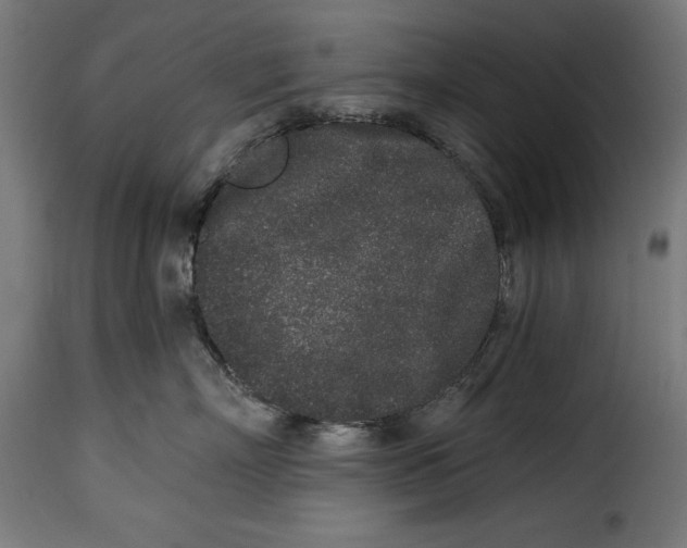 X0000114990718200911231141