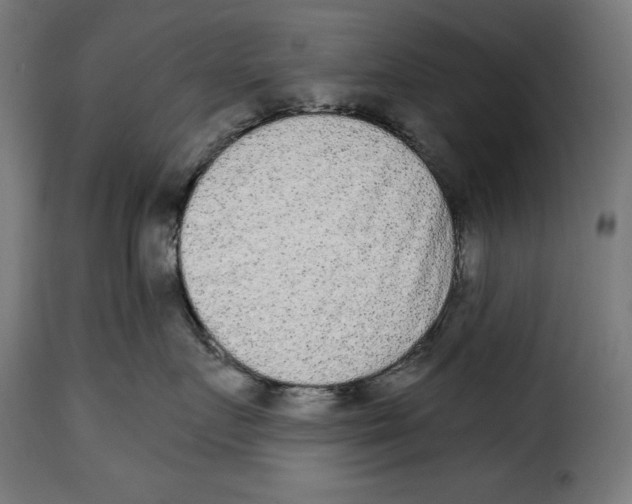 X0000114990719200911231141