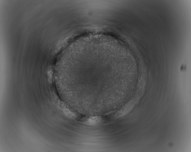 X0000114990720200911231141