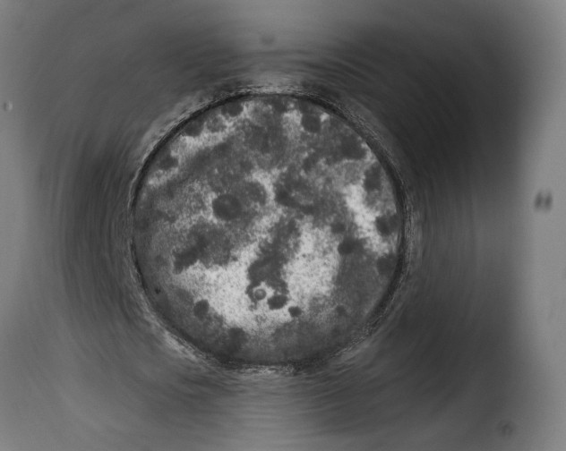 X0000114990721200911231141