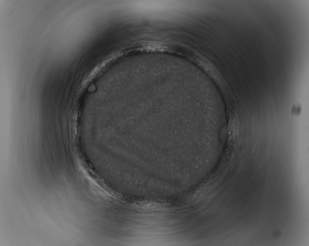 X0000114990722200911231141