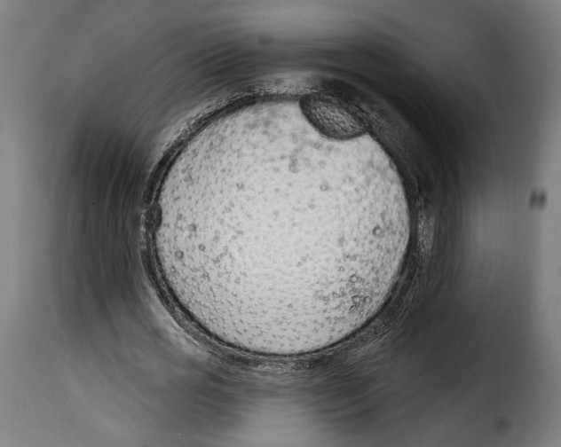 X0000114990725200911231141