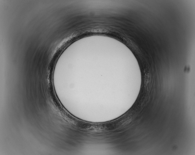 X0000114990727200911231141