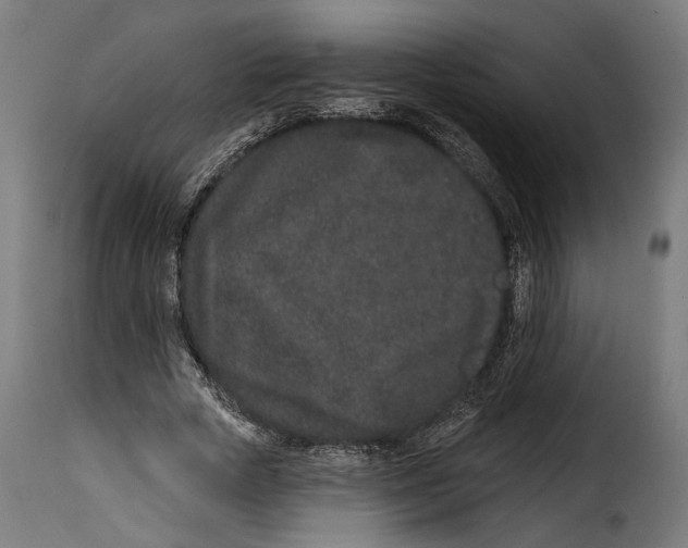 X0000114990729200911231141