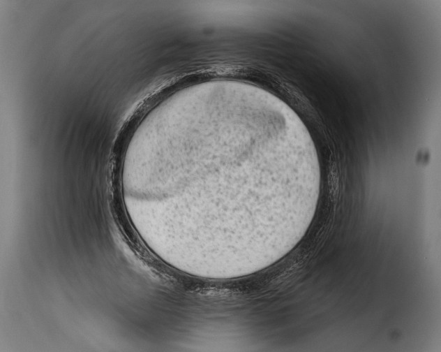 X0000114990730200911231141