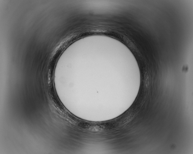 X0000114990731200911231141