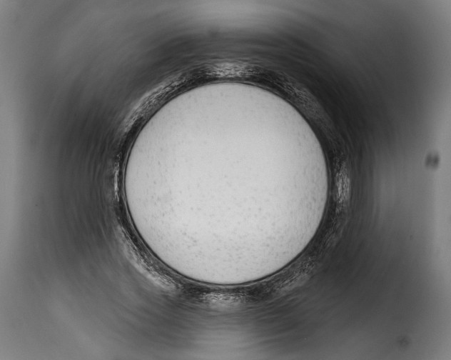 X0000114990733200911231141