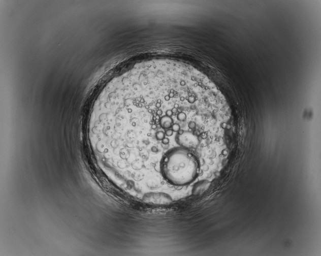 X0000114990734200911231141