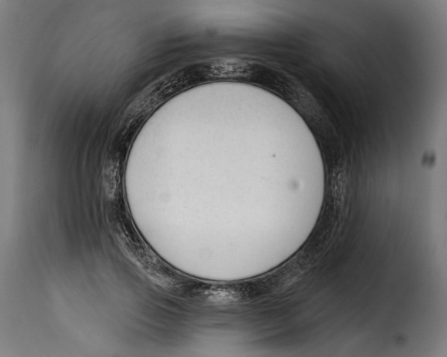 X0000114990741200911231141