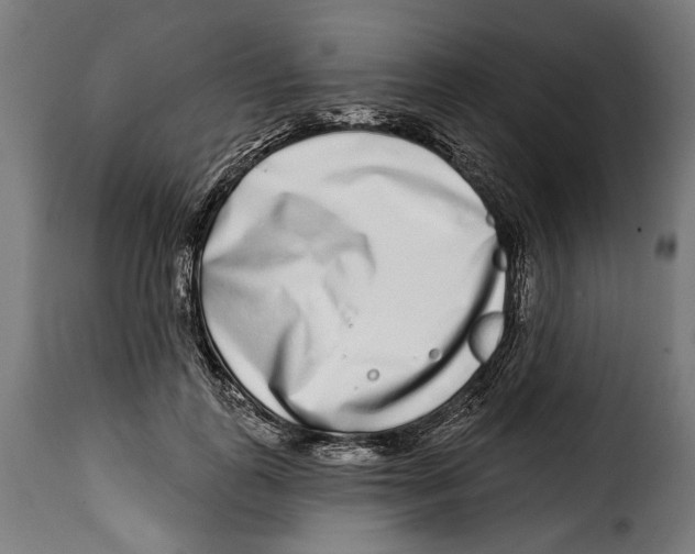 X0000114990747200911231141