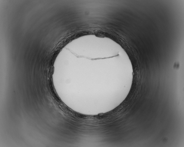 X0000114990750200911231141