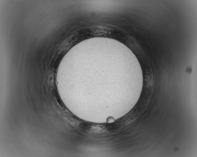 X0000114990753200911231141