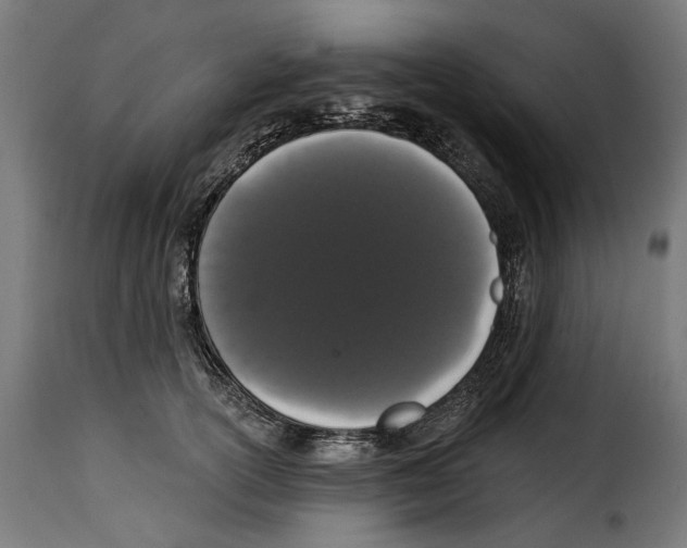 X0000114990754200911231141