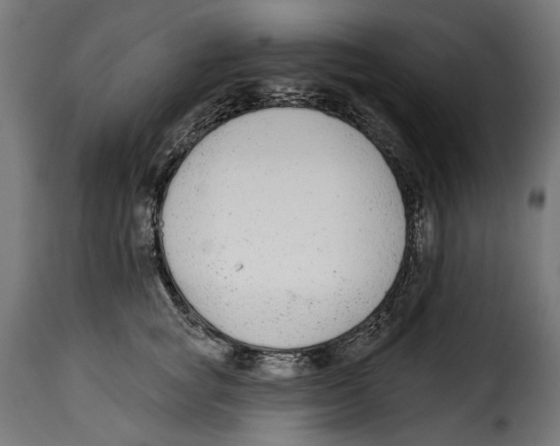 X0000114990757200911231141